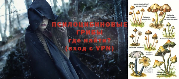 тгк Верея
