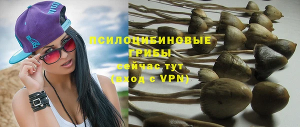 Альфа ПВП Вязьма
